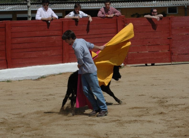 torea a la vaquilla